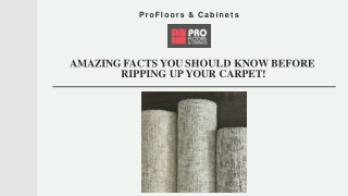 Amazing Facts You Should Know Before Ripping Up Your Carpet!