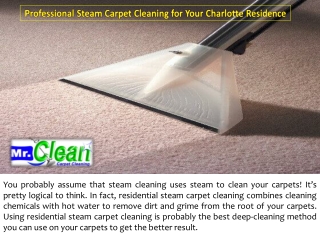 Professional Steam Carpet Cleaning for Your Charlotte Residence