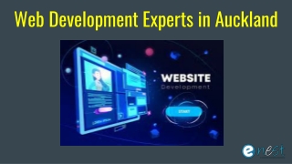 Web Development Experts in Auckland