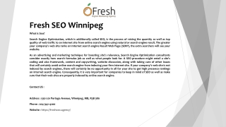 Fresh SEO Winnipeg