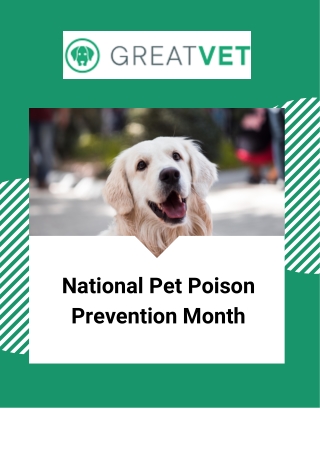 National Pet Poison Prevention Month: March
