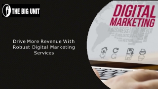 Drive More Revenue With Robust Digital Marketing Services