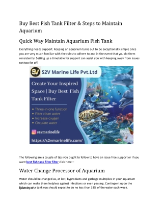 Buy Best Fish Tank Filter & Steps to Maintain Aquarium