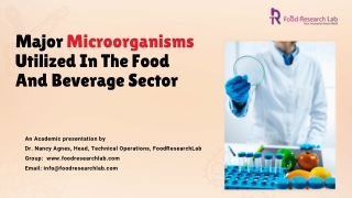 Major Microorganisms Utilized In The Food And Beverage Sector