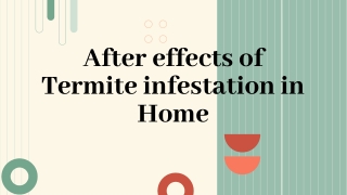 After effects of Termite infestaion in Home