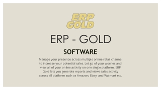Best Custom erp software