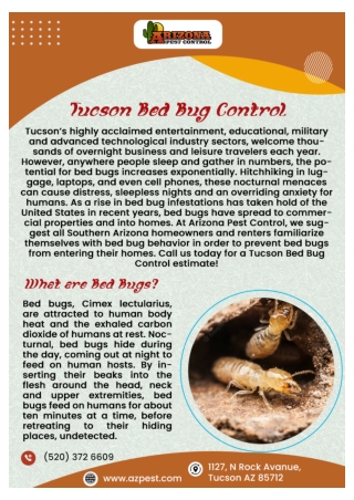 Tucson Scorpion Control | Tucson Wasp Control