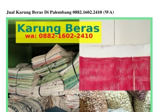 Jual Karung Beras Di Palembang 0882.1Ꮾ02.2Ꮞ10(whatsApp)