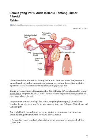 Semua yang Perlu Anda Ketahui Tentang Tumor Fibroid Rahim - klinikkelaminku.com