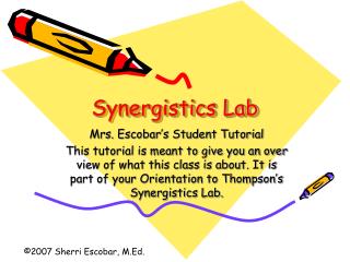 Synergistics Lab