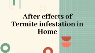 After effects of Termite infestaion in Home