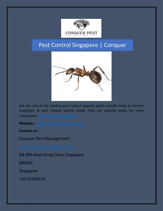 Pest Control Singapore | Conquer Pest