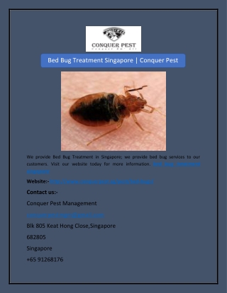 Bed Bug Treatment Singapore | Conquer Pest