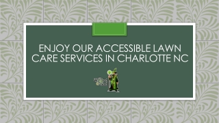 Enjoy Our Accessible Lawn Care Services In Charlotte