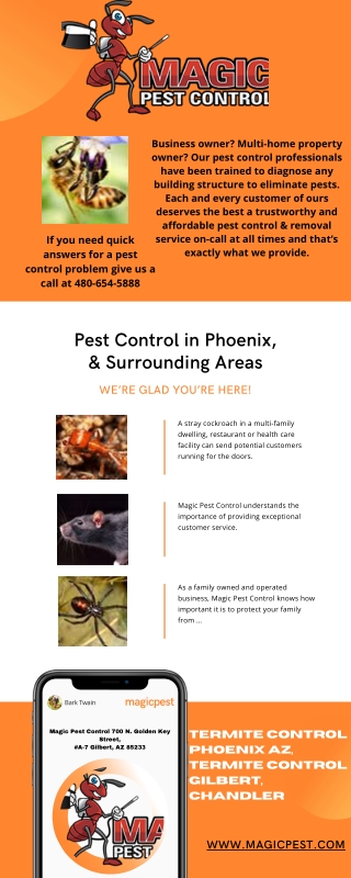 Termite Control Phoenix AZ  | exterminator queen creek az