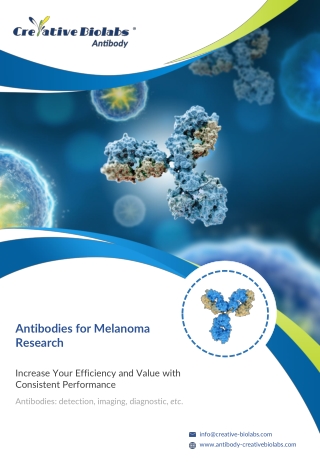 BRAF antibody for melanoma research