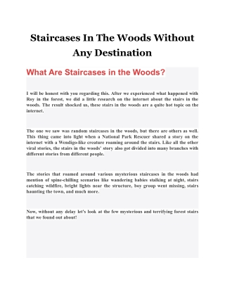 Staircases In The Woods Without Any Destination