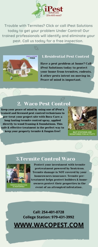 Waco pest termite controller