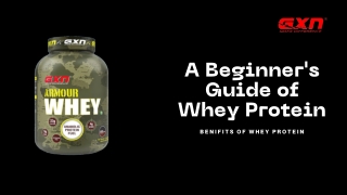 Buy Armour Whey Protein For High Quality Protein in Best Price