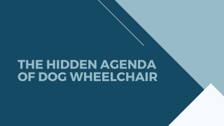The Hidden Agenda Of Dog Wheelchair