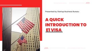 A Quick Guide To E1 Business Visa | Startup Business Bureau