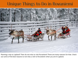 Unique Things to Do in Rovaniemi