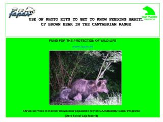 FUND FOR THE PROTECTION OF WILD LIFE fapas.es