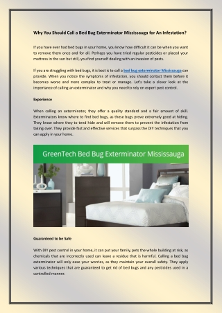 Why You Should Call a Bed Bug Exterminator Mississauga for An Infestation