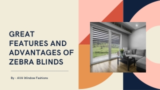 Great Features and Advantages of Zebra Blinds