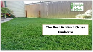 The Best Artificial Grass Canberra