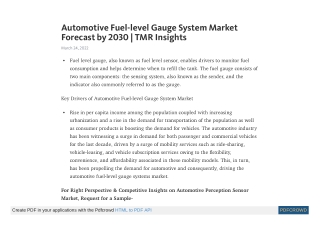 Automotive Fuel-level Gauge System Market Forecast by 2030