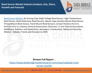Reed Sensor Market Industry Analysis, Size, Share, Growth and Forecast