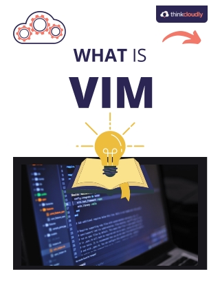 What is VIM?