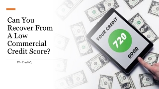 Can You Recover From A Low Commercial Credit Score?​