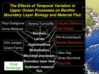 The Effects of Temporal Variation in Upper Ocean Processes on Benthic Boundary Layer Biology and Material Flux