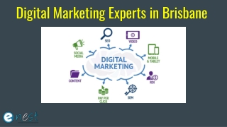 Digital Marketing Experts in Brisbane