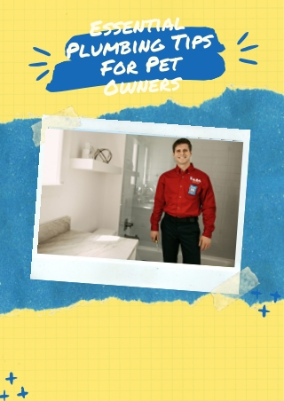 Essential Plumbing Tips For Pet Owners