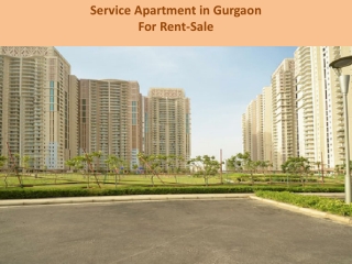 Service Apartment For Rent-Sale in Gurugram