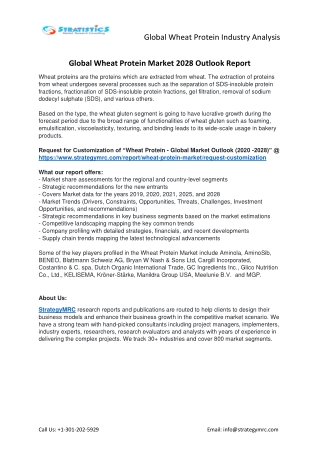 Wheat Protein Market Forecasts to 2028