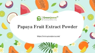 Papaya Fruit Extract Powder