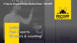 6 Tips to Prevent Pesky Pantry Pests – PECOPP