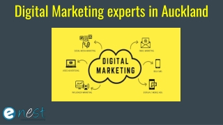 Digital Marketing experts in Auckland