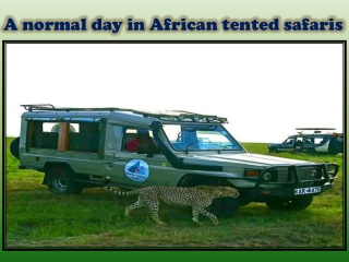 A normal day in African tented safaris