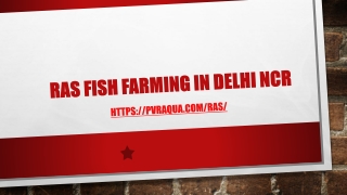 RAS Fish Farming in Delhi NCR