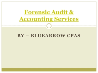 Forensic Accounting & Auditing Services – BlueArrowCPAs