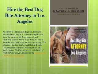 Hire the Best dog bite attorney Los Angeles