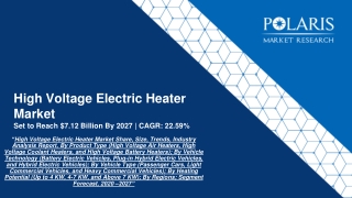 High Voltage Electric Heater Market