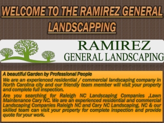 Tree Trimming Raleigh NC