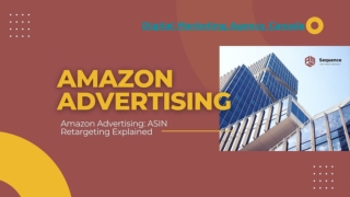 Amazon Advertising Management Services
