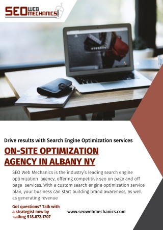 Lite On-Site Optimization Agency in Albany NY